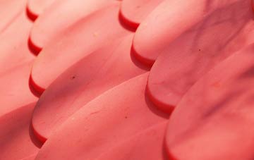 West Norwood plastic roof costs